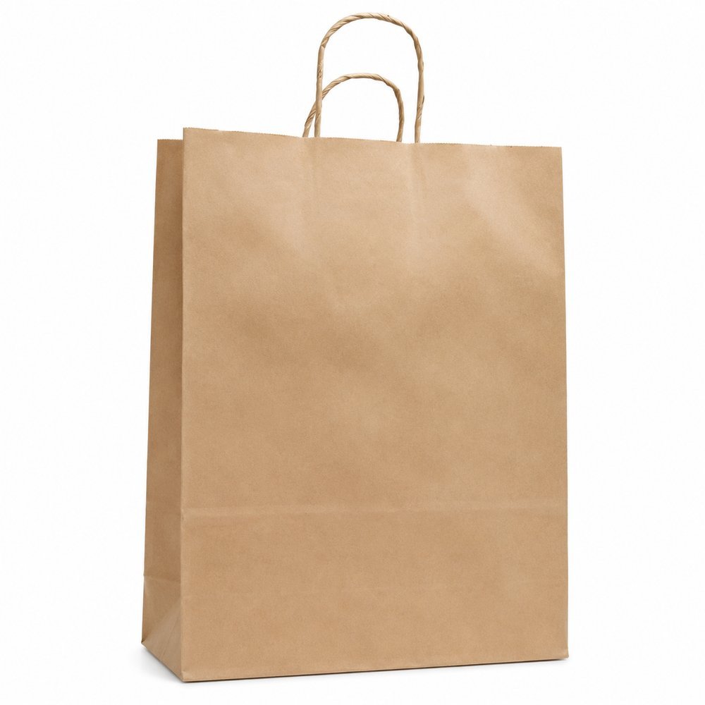 Kit 10 Sacola Kraft Tamanho G  - Parda