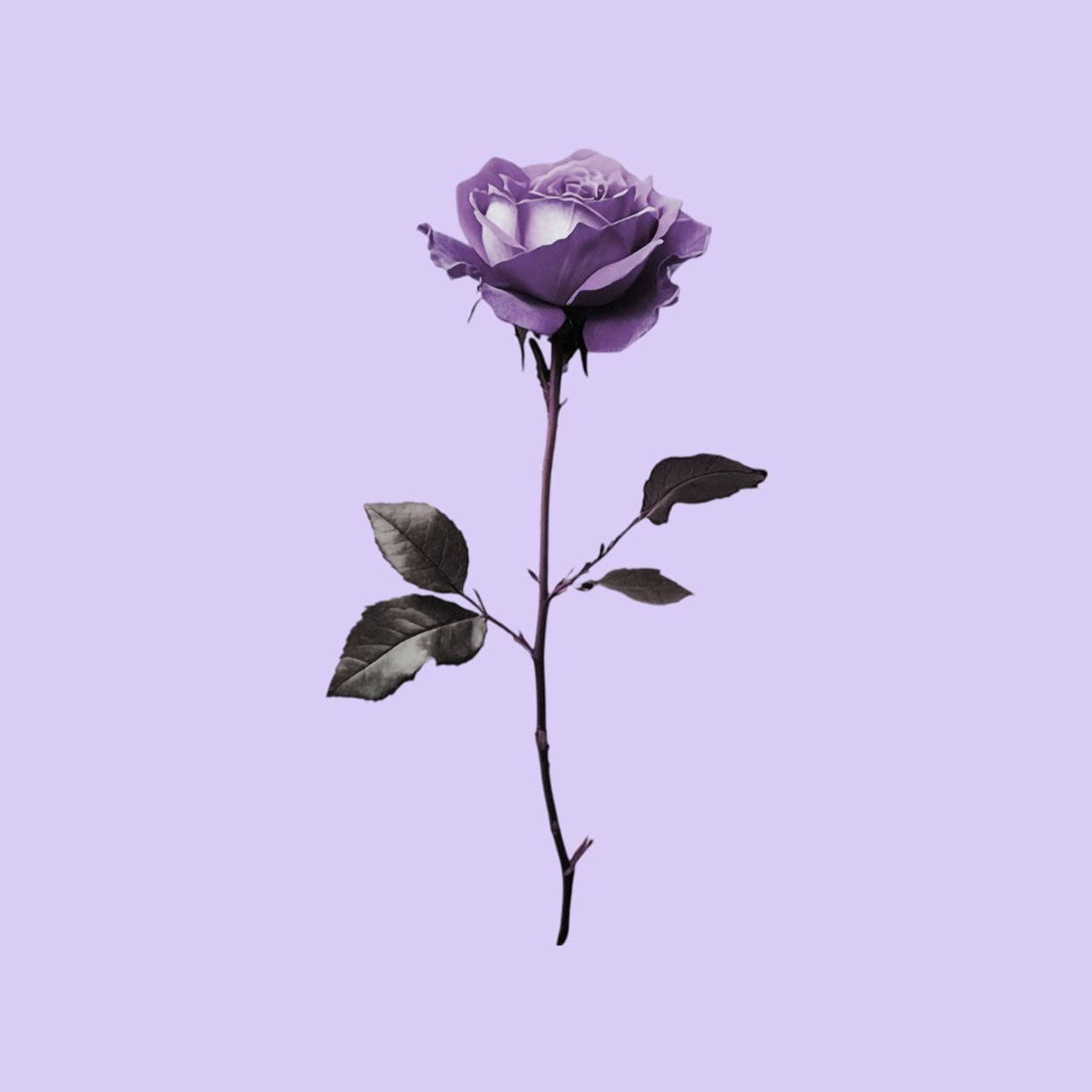 Assistência Funeral Familiar