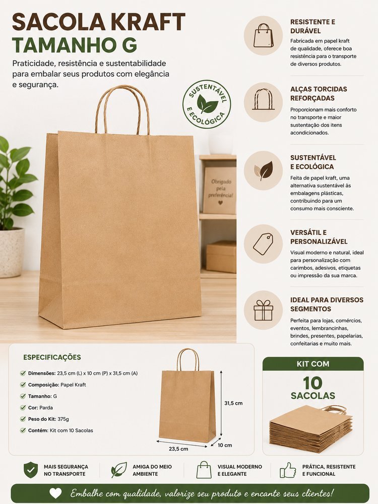 Kit 10 Sacola Kraft Tamanho G  - Parda
